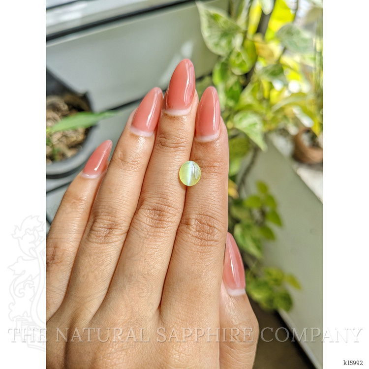 2.08 Ct. Cabochon Chrysoberyl from Ceylon (Sri Lanka)