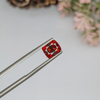 2.51 Ct. Garnet from Ceylon (Sri Lanka) Life Style