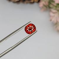 1.61 Ct. Garnet from Ceylon (Sri Lanka) Life Style