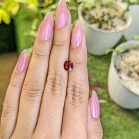 1.61 Ct. Garnet from Ceylon (Sri Lanka) Life Style