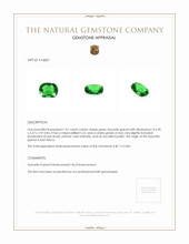 1.01 Ct. Tsavorite Garnet from East Africa Appraisal