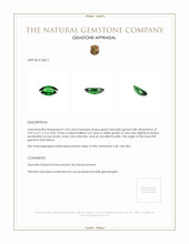 1.04 Ct. Tsavorite Garnet from East Africa Appraisal
