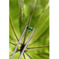 1.04 Ct. Tsavorite Garnet from East Africa Life Style