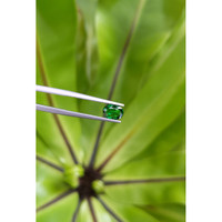 0.96 Ct. Tsavorite Garnet from East Africa Life Style
