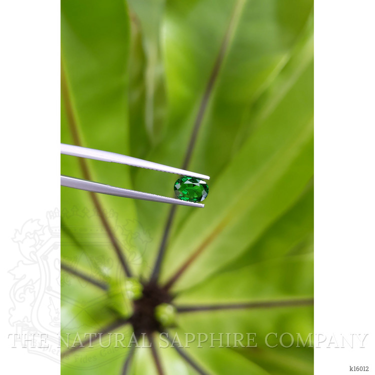 0.96 Ct. Tsavorite Garnet from East Africa