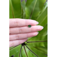 0.96 Ct. Tsavorite Garnet from East Africa Life Style