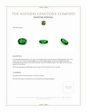 1.04 Ct. Tsavorite Garnet from East Africa Appraisal