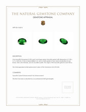 0.98 Ct. Tsavorite Garnet from East Africa Appraisal