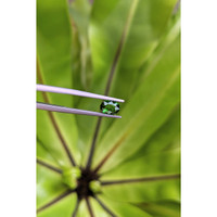 0.98 Ct. Tsavorite Garnet from East Africa Life Style