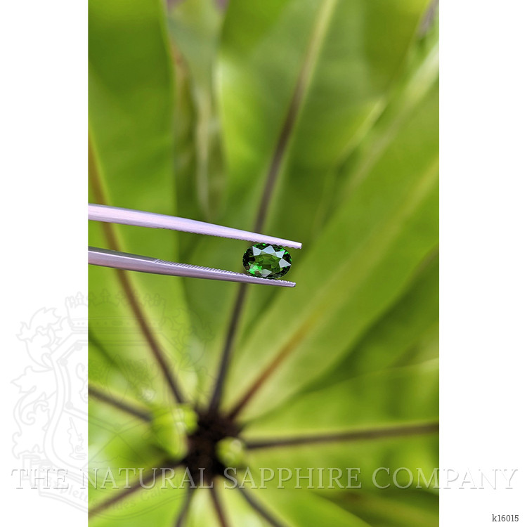 0.98 Ct. Tsavorite Garnet from East Africa