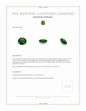 0.94 Ct. Tsavorite Garnet from East Africa Appraisal