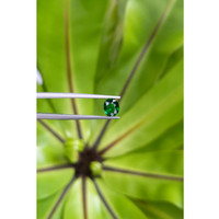 0.94 Ct. Tsavorite Garnet from East Africa Life Style
