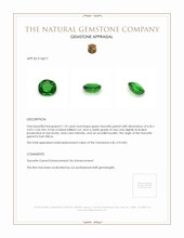 1.10 Ct. Tsavorite Garnet from East Africa Appraisal