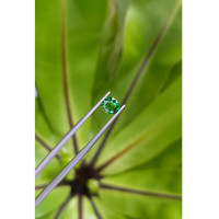1.10 Ct. Tsavorite Garnet from East Africa Life Style