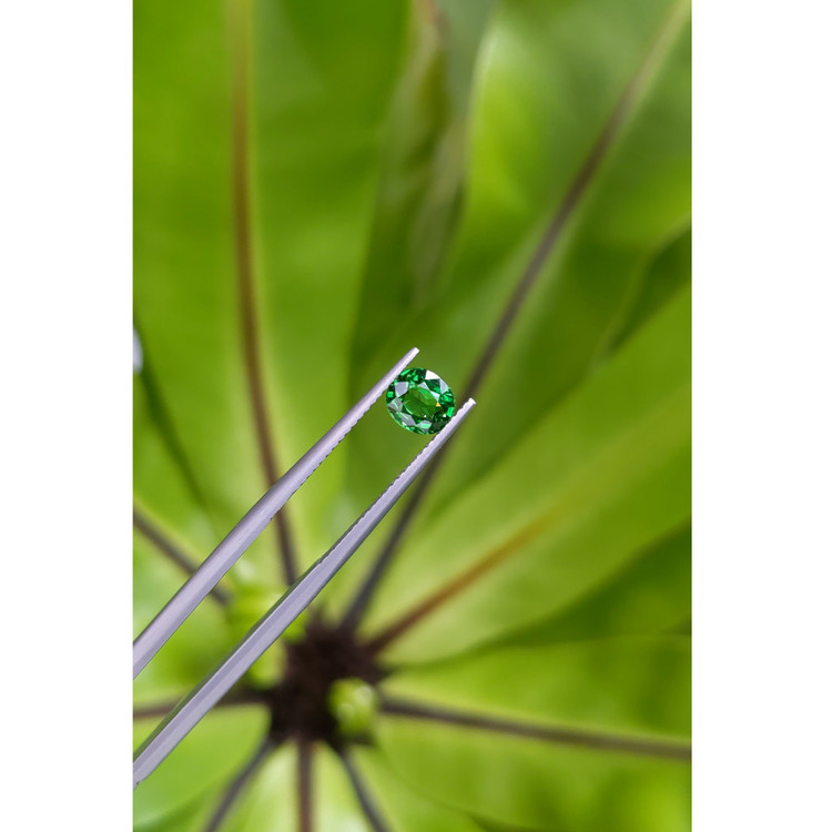 1.10 Ct. Tsavorite Garnet from East Africa