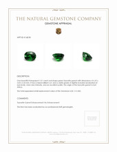 1.01 Ct. Tsavorite Garnet from East Africa Appraisal