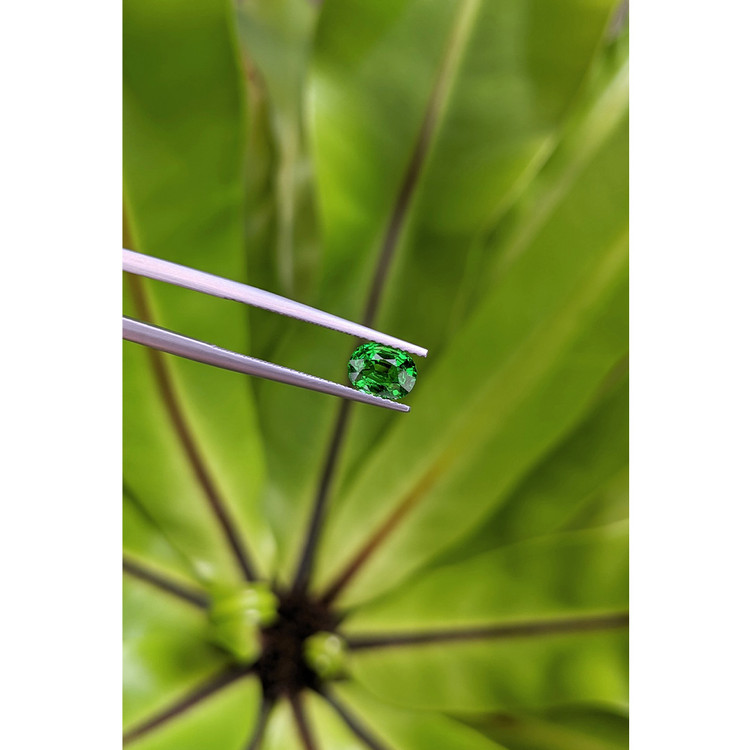 1.08 Ct. Tsavorite Garnet from East Africa
