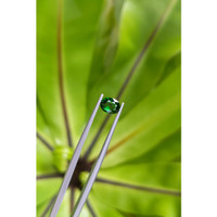 1.08 Ct. Tsavorite Garnet from East Africa Life Style