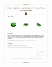 0.93 Ct. Tsavorite Garnet from East Africa Appraisal