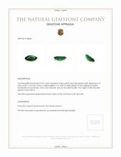 0.95 Ct. Tsavorite Garnet from East Africa Appraisal