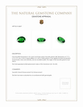 1.05 Ct. Tsavorite Garnet from East Africa Appraisal