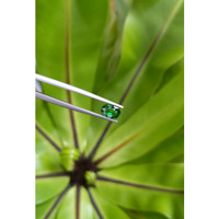 1.05 Ct. Tsavorite Garnet from East Africa Life Style