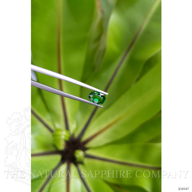 1.05 Ct. Tsavorite Garnet from East Africa