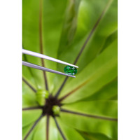 1.01 Ct. Tsavorite Garnet from East Africa Life Style