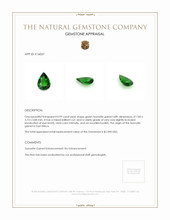 0.99 Ct. Tsavorite Garnet from East Africa Appraisal