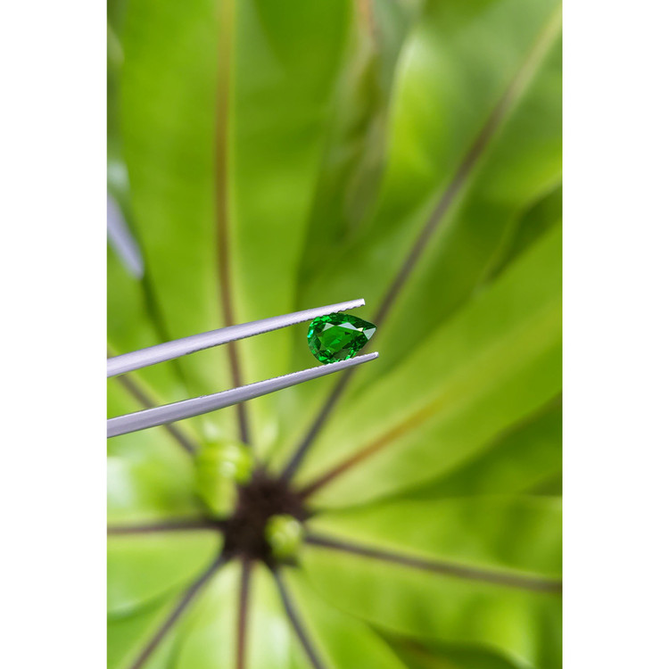 0.99 Ct. Tsavorite Garnet from East Africa