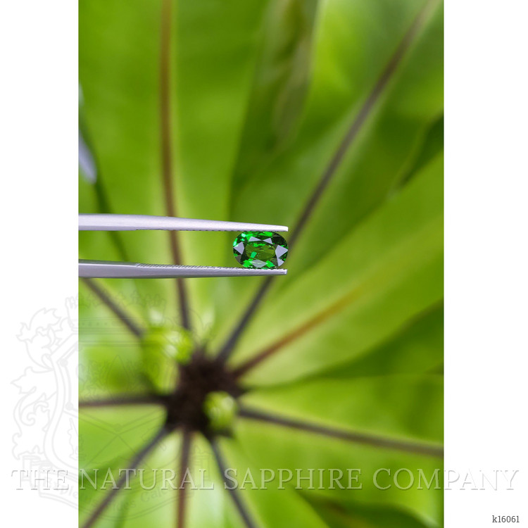 1.06 Ct. Tsavorite Garnet from East Africa