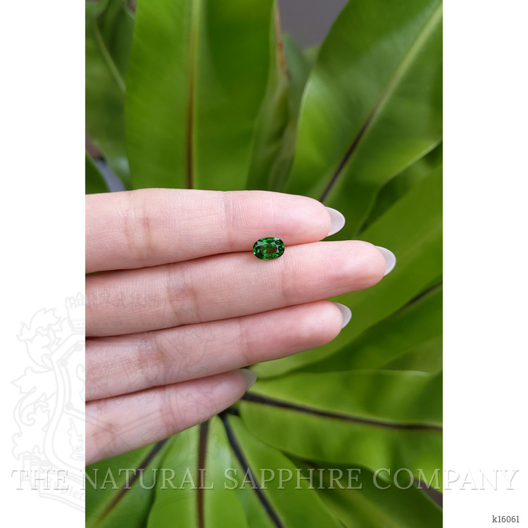 1.06 Ct. Tsavorite Garnet from East Africa