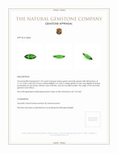 1.03 Ct. Tsavorite Garnet from East Africa Appraisal