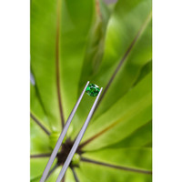 1.03 Ct. Tsavorite Garnet from East Africa Life Style