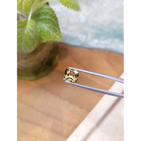 2.57 Ct. Kornerupine from Ceylon (Sri Lanka) Life Style