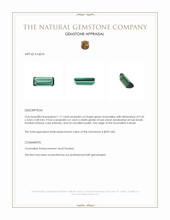 1.17 Ct. Tourmaline from Brazil Appraisal