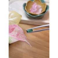 1.17 Ct. Tourmaline from Brazil Life Style