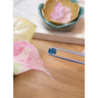 1.10 Ct. Tourmaline from Brazil Life Style