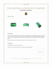 4.30 Ct. Tourmaline from Brazil Appraisal