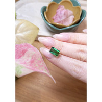 4.30 Ct. Tourmaline from Brazil Life Style