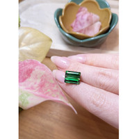 6.21 Ct. Tourmaline from Brazil Life Style