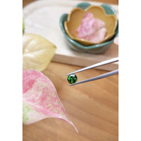 1.13 Ct. Tourmaline from Brazil Life Style