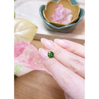 1.13 Ct. Tourmaline from Brazil Life Style