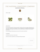 1.88 Ct. Tourmaline from Mozambique Appraisal