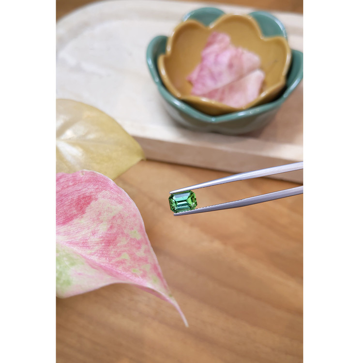 1.55 Ct. Tourmaline from Brazil