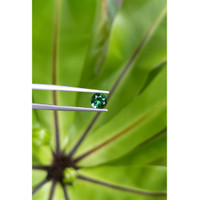 1.02 Ct. Tourmaline from Brazil Life Style