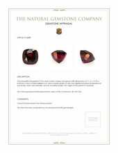 9.34 Ct. Garnet from Tanzania Appraisal