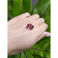 9.05 Ct. Tourmaline from Brazil Life Style