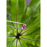 9.05 Ct. Tourmaline from Brazil Life Style