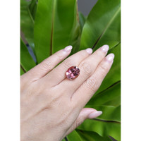 9.05 Ct. Tourmaline from Brazil Life Style